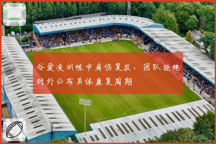 谷爱凌训练中肩伤复发,团队拒绝对外公布具体康复周期