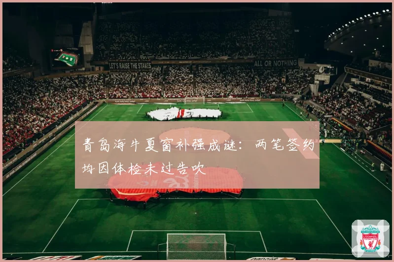 青岛海牛夏窗补强成谜：两笔签约均因体检未过告吹