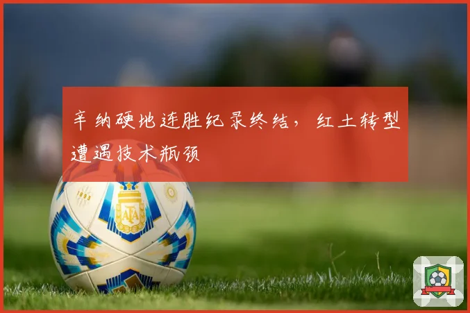 辛纳硬地连胜纪录终结，红土转型遭遇技术瓶颈